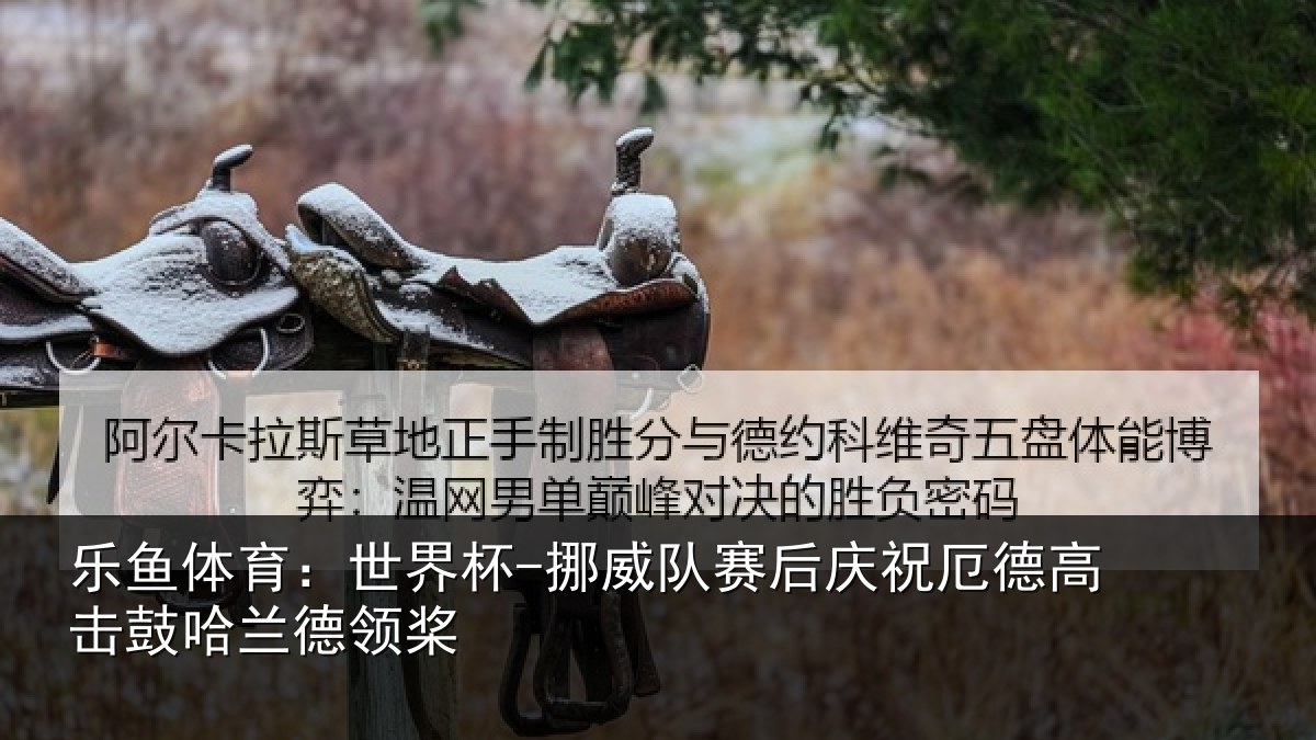 乐鱼体育:世界杯-挪威队赛后庆祝厄德高击鼓哈兰德领桨