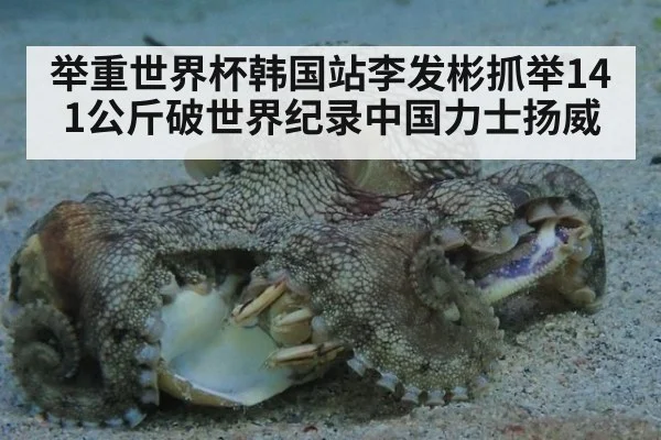 举重世界杯韩国站李发彬抓举141公斤破世界纪录中国力士扬威